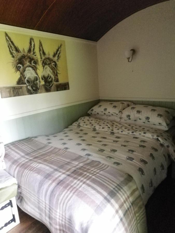 Отель Durham Donkey Rescue Shepherd'S Hut Экстерьер фото
