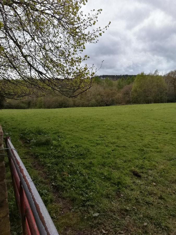 Отель Durham Donkey Rescue Shepherd'S Hut Экстерьер фото