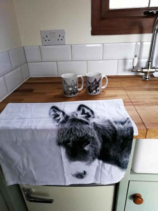 Отель Durham Donkey Rescue Shepherd'S Hut Экстерьер фото