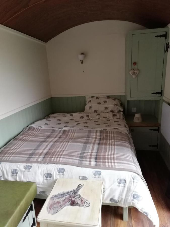 Отель Durham Donkey Rescue Shepherd'S Hut Экстерьер фото